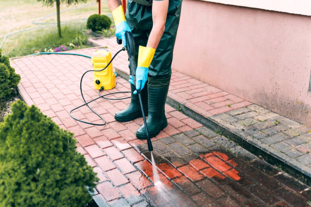 Best Deck Pressure Washing  in Belvidere, IL