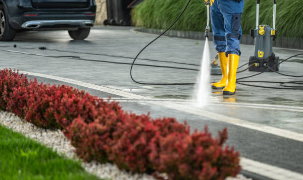 Best Commercial Building Pressure Washing  in Belvidere, IL