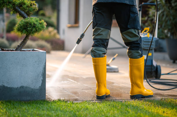 Best Deck Pressure Washing  in Belvidere, IL